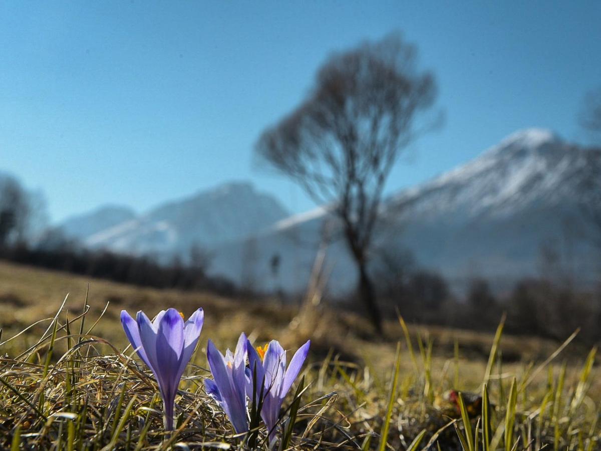 富临别墅 Nová Lesná 外观 照片